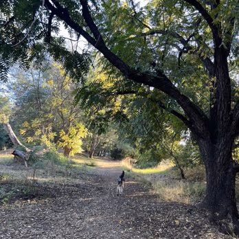 Shurtleff Dog Park